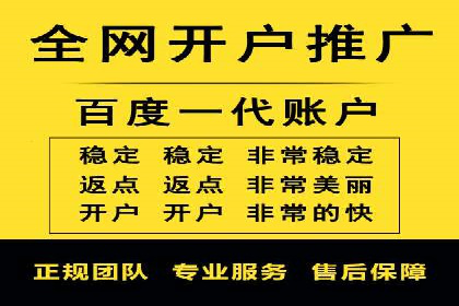 竞价SEM案例解析：电商行业营销策略